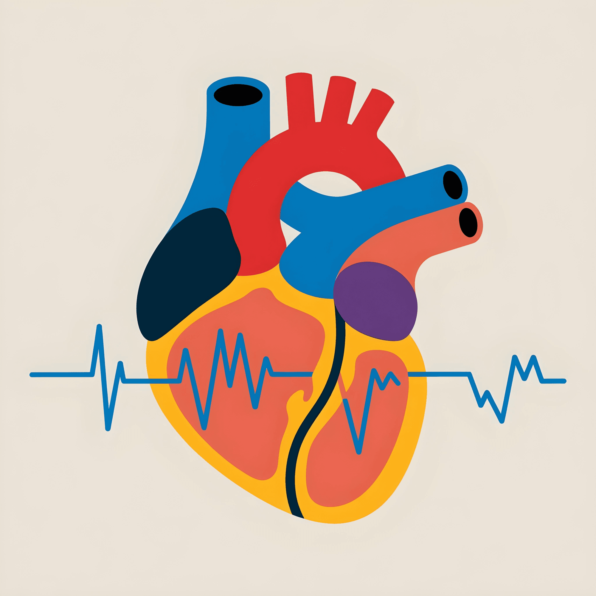 Workshop Katétrová Ablácia 2025